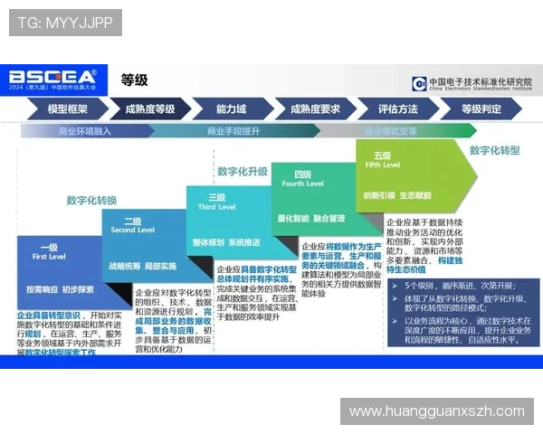 皇冠集团官网的数字化转型策略与未来发展方向探讨